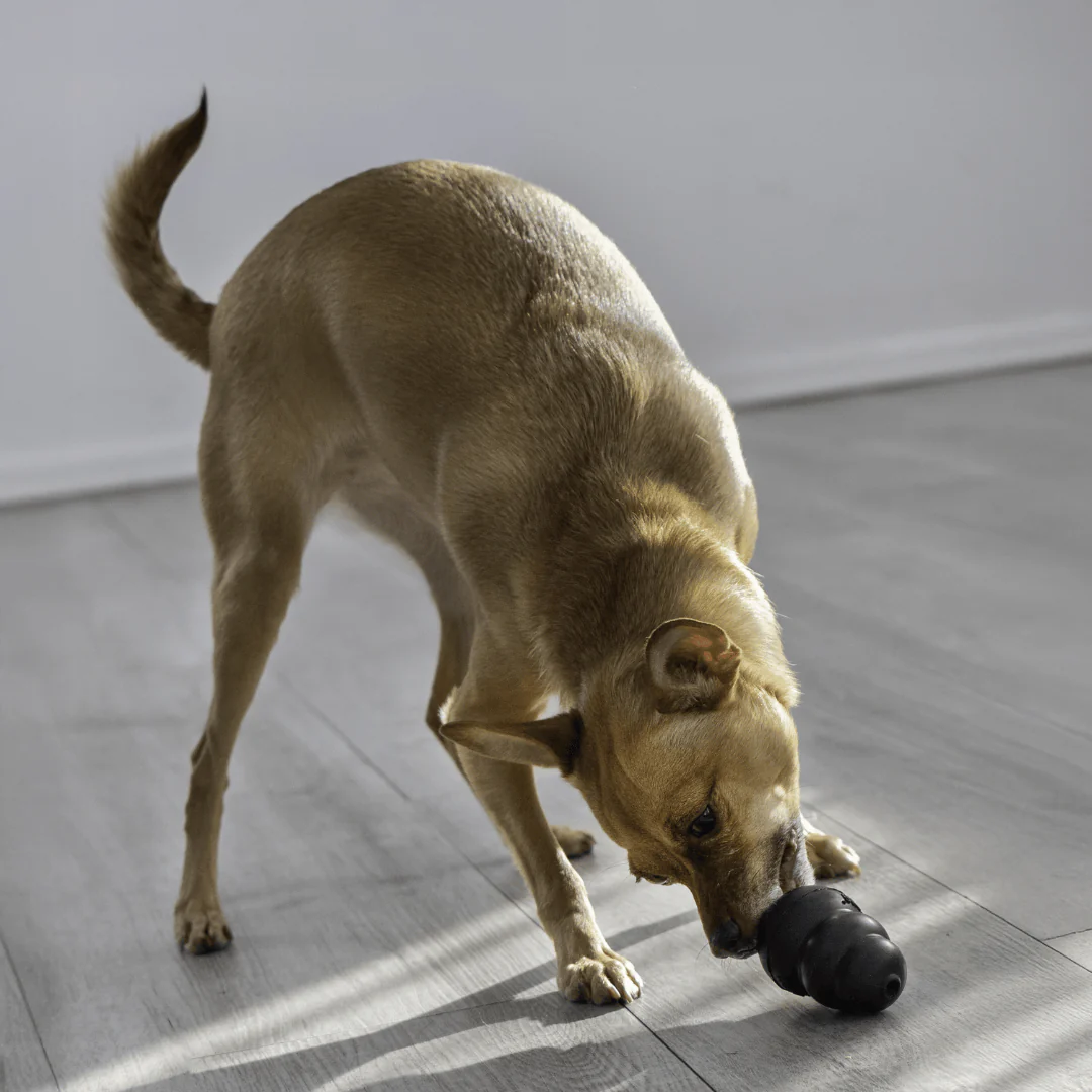 Kong Extreme Dog Toy - Image 4