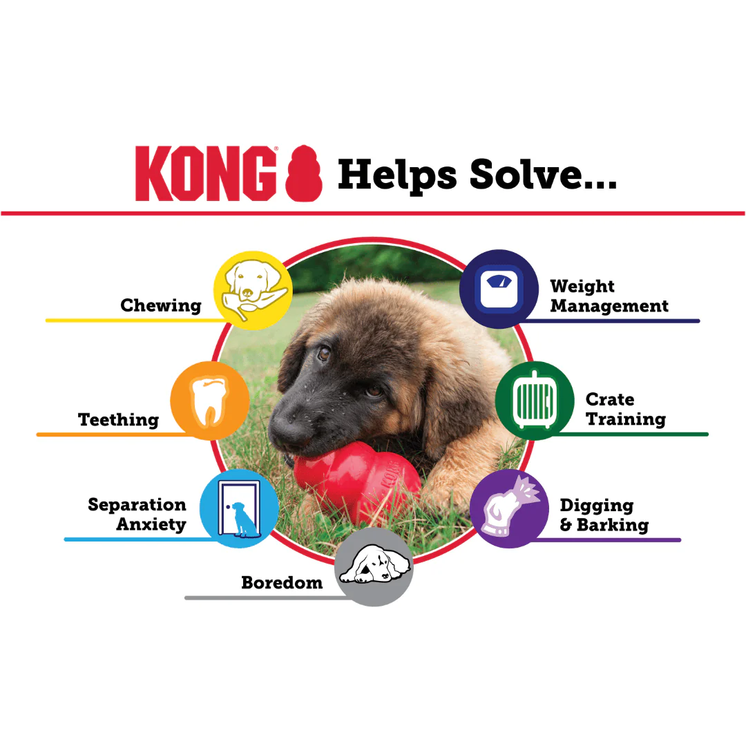 Kong Extreme Dog Toy - Image 5