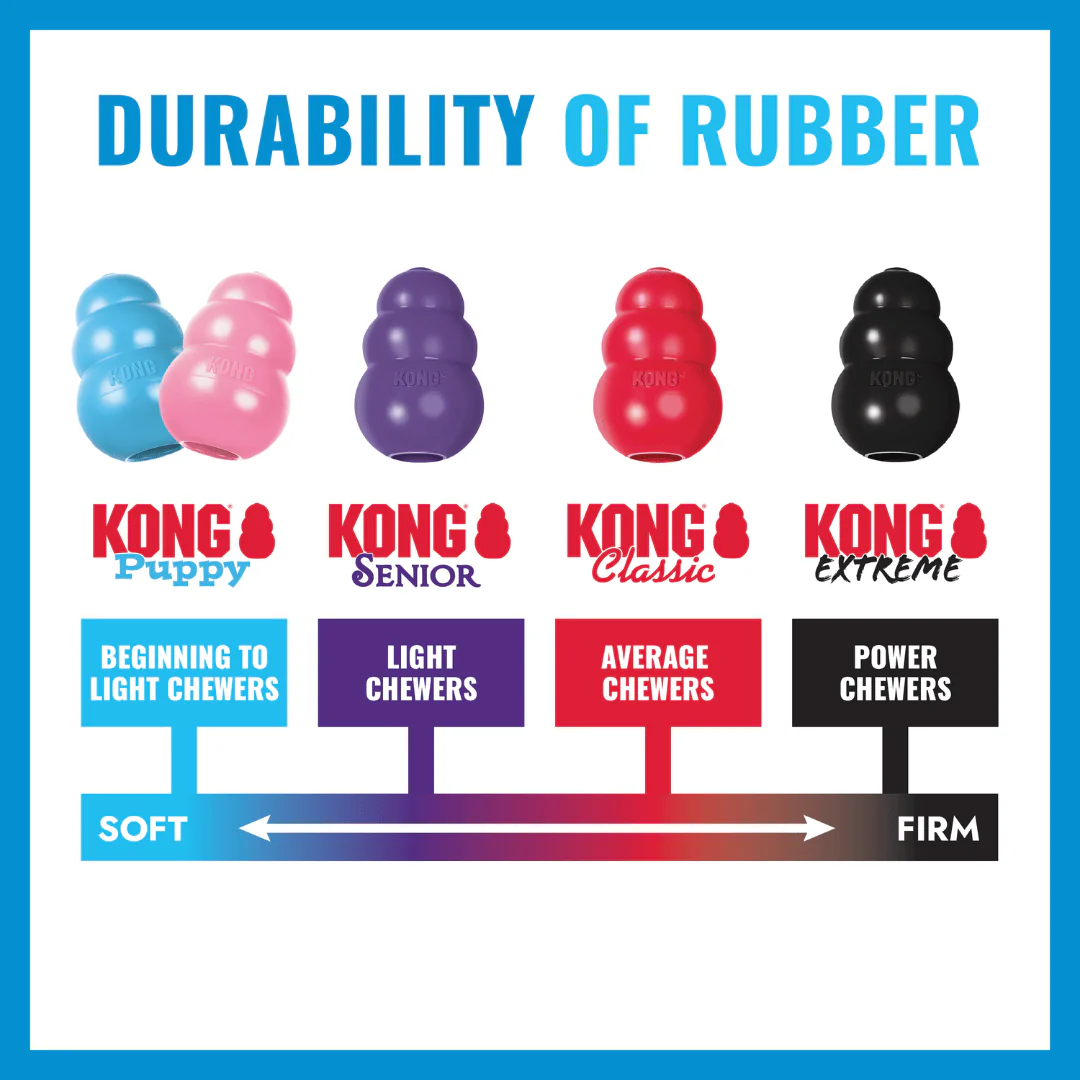 Kong Puppy Goodie Bone - Image 5