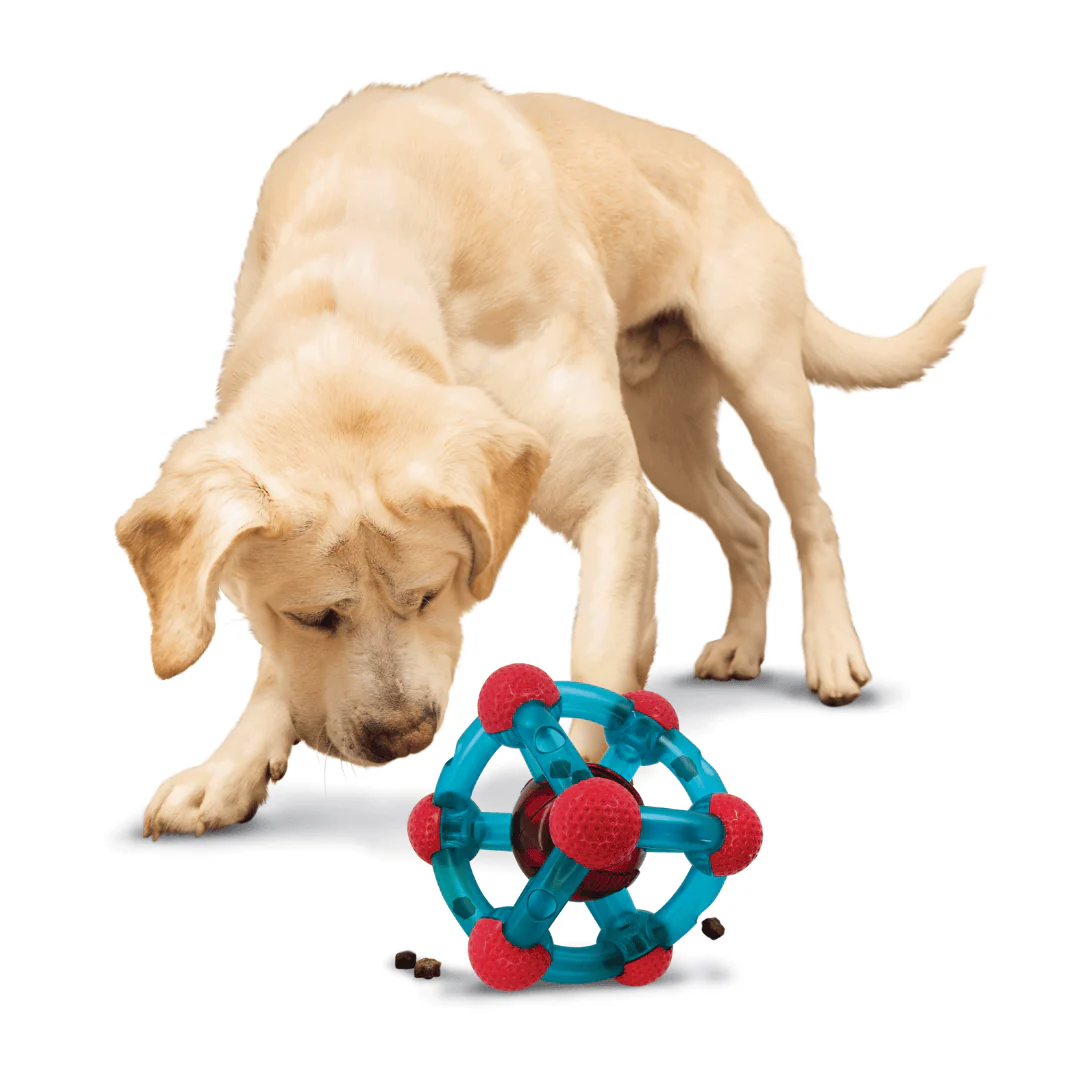 Kong Rewards Tinker Treat Dispenser - Image 2