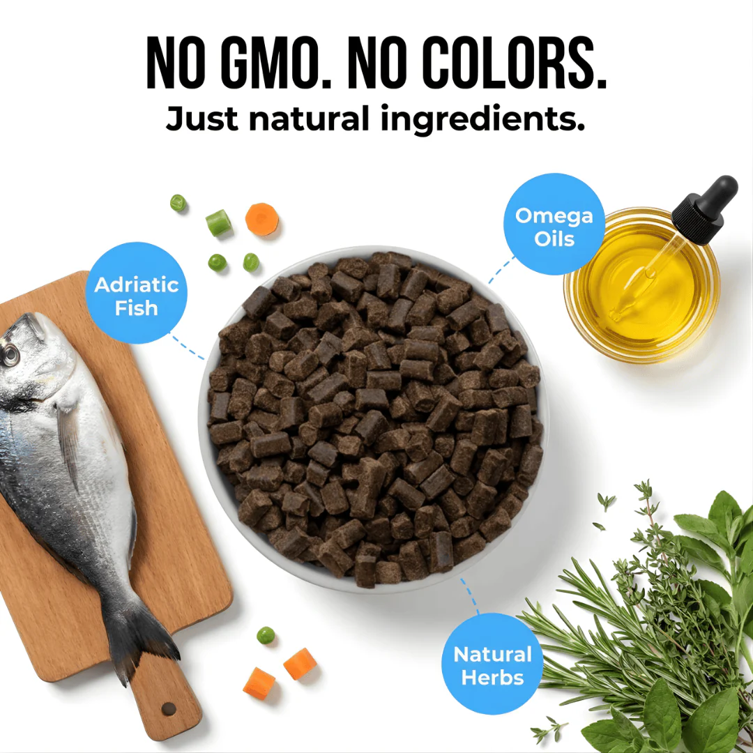 Kudo Adriatic Fish Cold Pressed Dog Food - Image 3