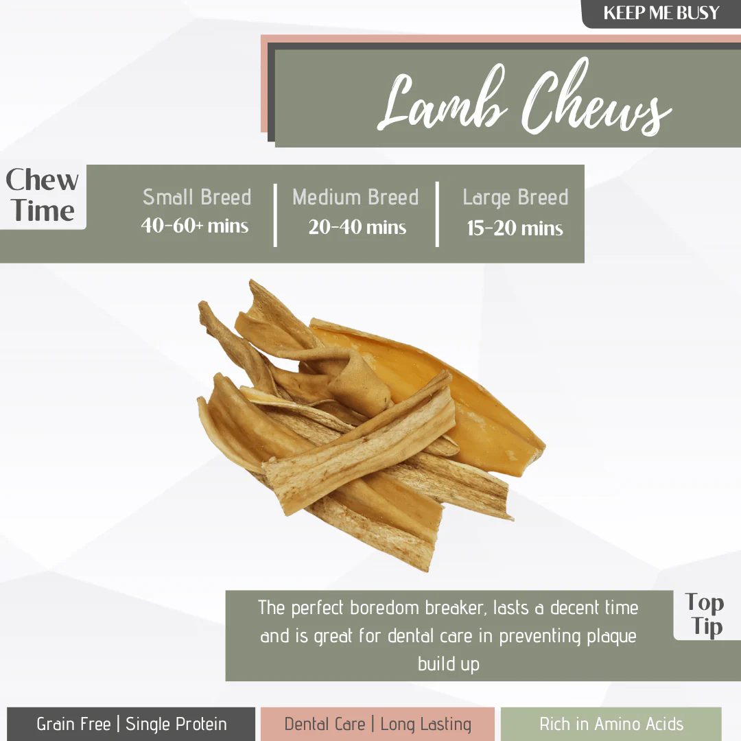 Lamb Chews | Lamb Skins - Image 4