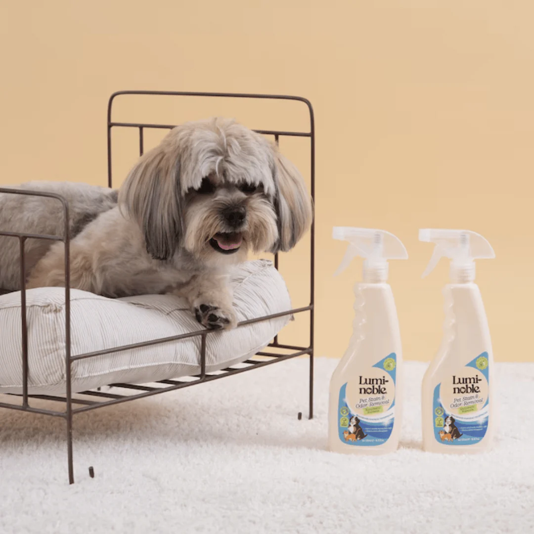 Lumi-Noble Odor & Stain Remover - Image 3