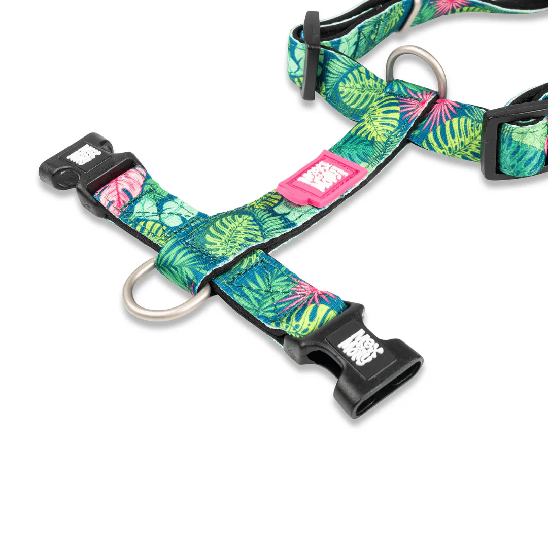 Max & Molly Tropical Dog Harness - Image 2