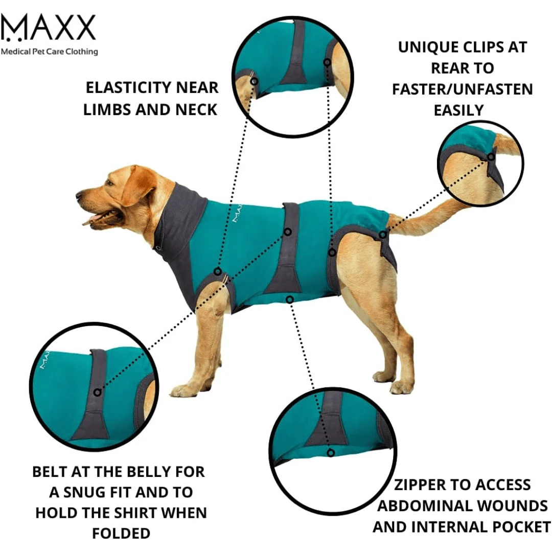 MAXX Surgical Recovery Suit for Dogs - Image 2