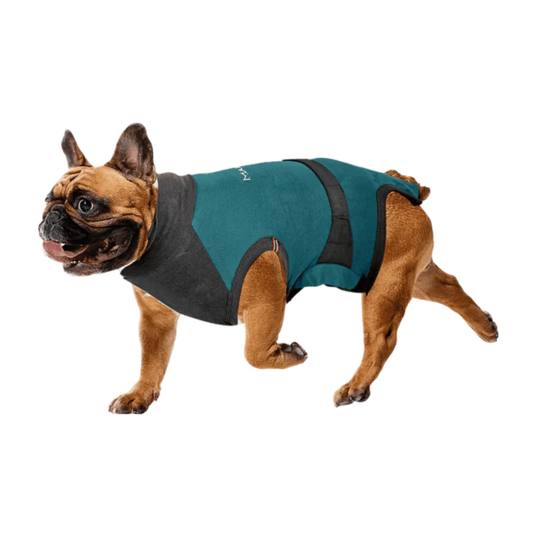 MAXX Surgical Recovery Suit for Dogs - Image 3