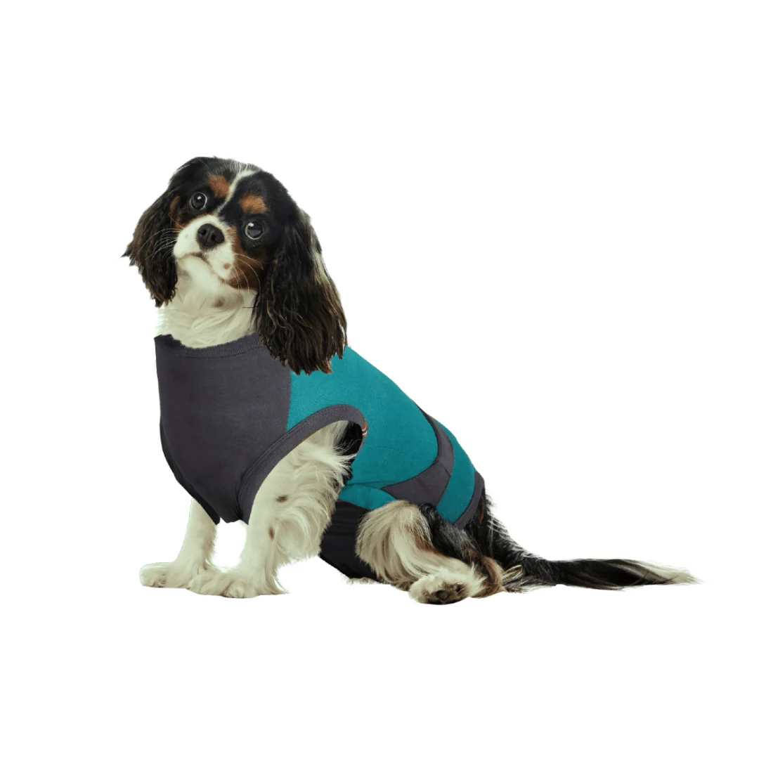 MAXX Surgical Recovery Suit for Dogs - Image 6