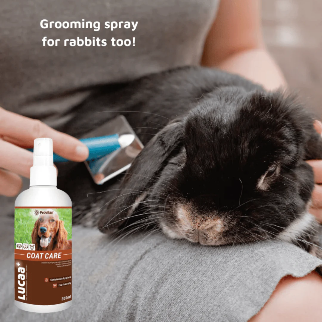 Natural Coat Care Spray |Provilan Lucaa+ - Image 7