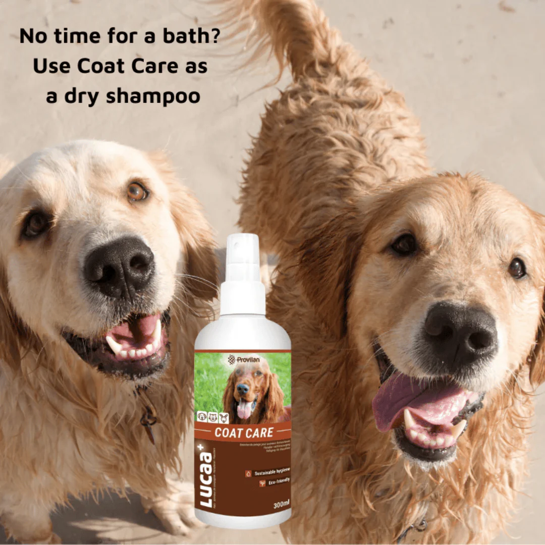 Natural Coat Care Spray |Provilan Lucaa+ - Image 8