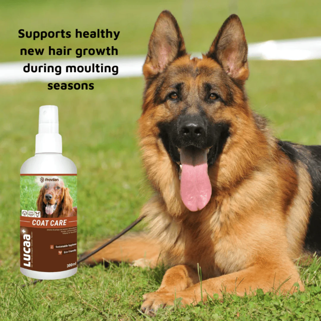 Natural Coat Care Spray |Provilan Lucaa+ - Image 9