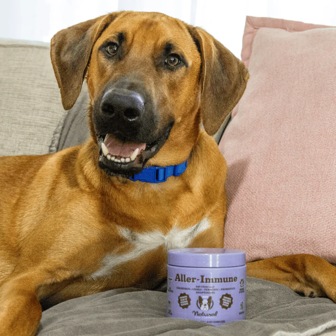 Natural Dog Company Aller-Immune Chews - Image 2