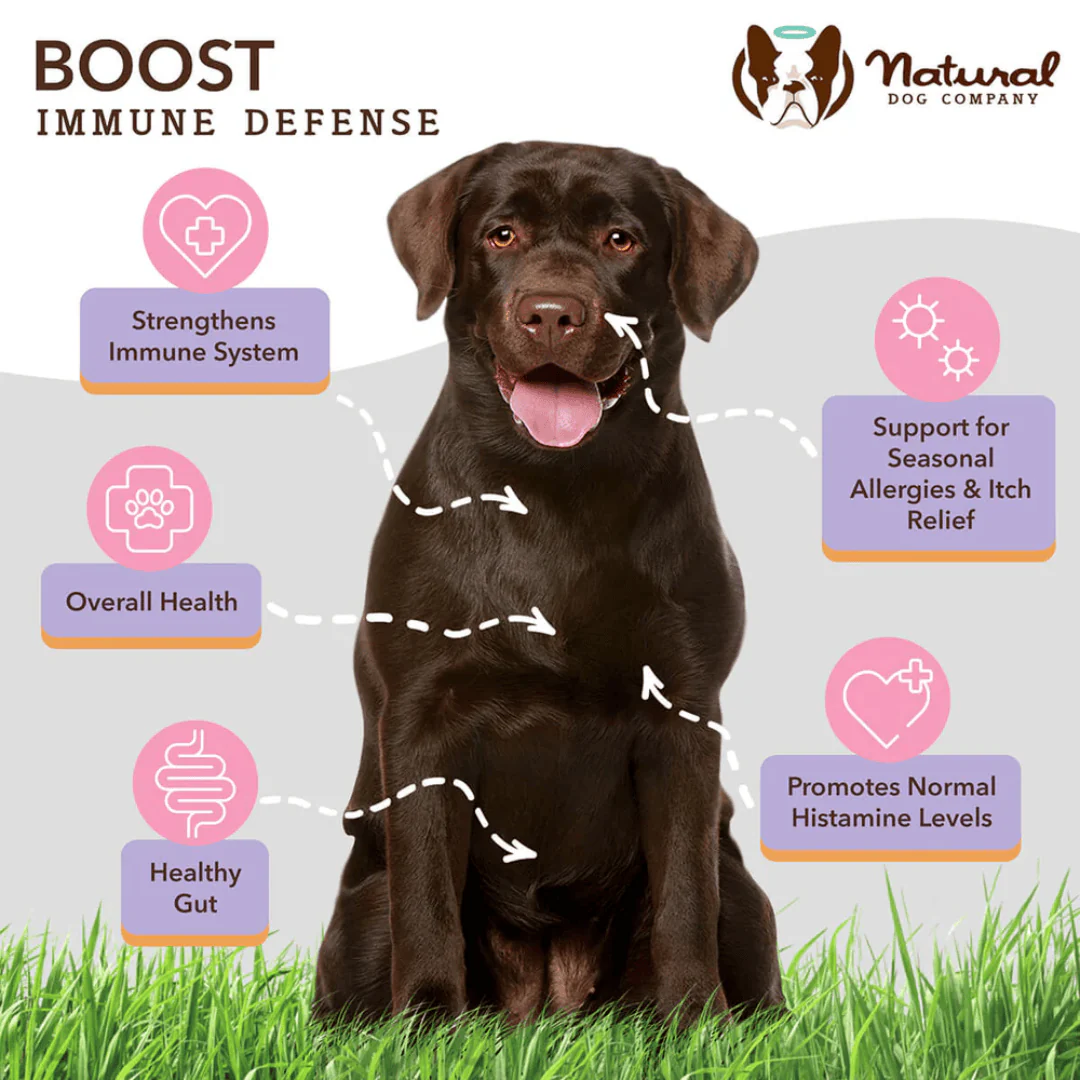 Natural Dog Company Aller-Immune Chews - Image 7