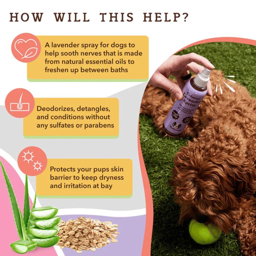 Natural Dog Company Calming Lavender Spritz - Image 3