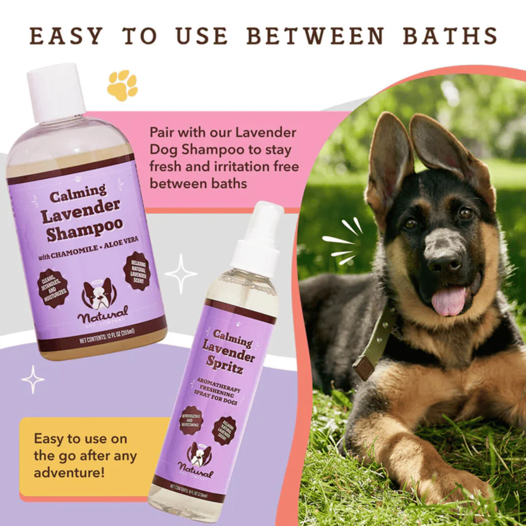 Natural Dog Company Calming Lavender Spritz - Image 4