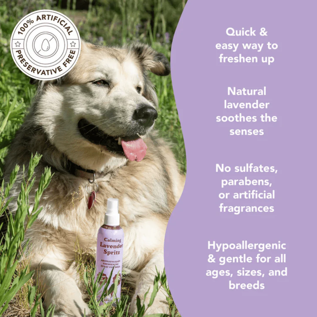 Natural Dog Company Calming Lavender Spritz - Image 5