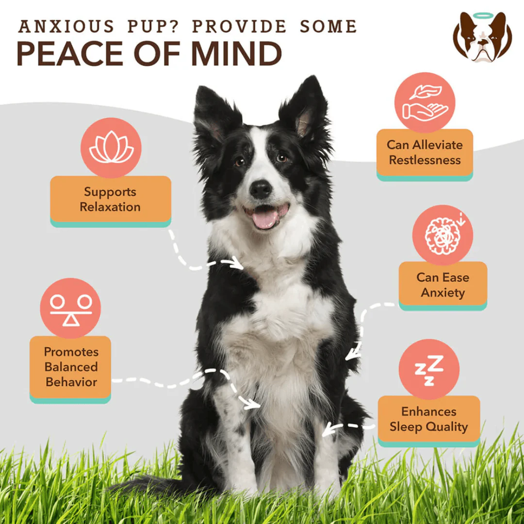Natural Dog Company Calming Supplement Chews - Image 7