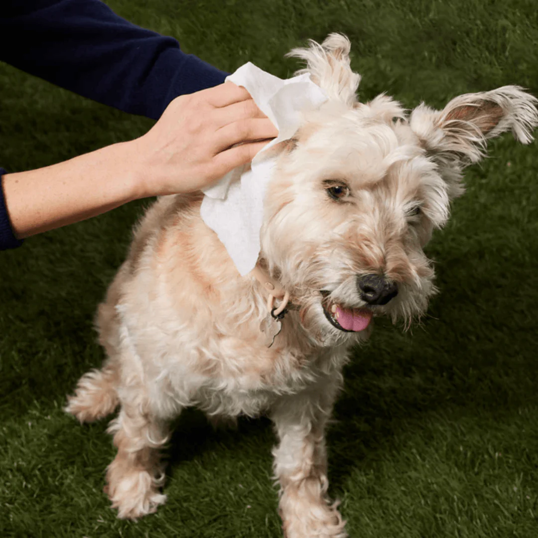 Natural Dog Company Grooming Wipes - Image 6