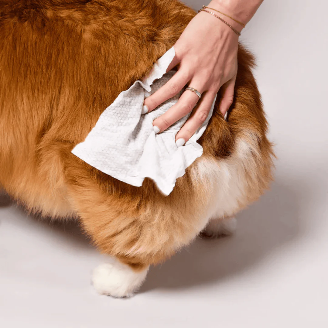 Natural Dog Company Grooming Wipes - Image 9