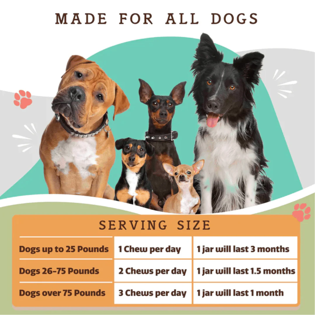 Natural Dog Company Hip and Joint Supplement Chews - Image 4