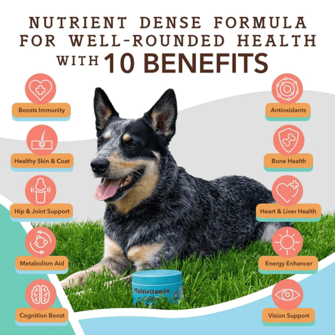 Natural Dog Company Multivitamin Chews for Dogs - Image 2