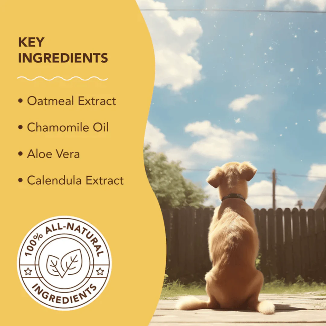 Natural Dog Company Oatmeal Sensitive Skin Spritz - Image 2