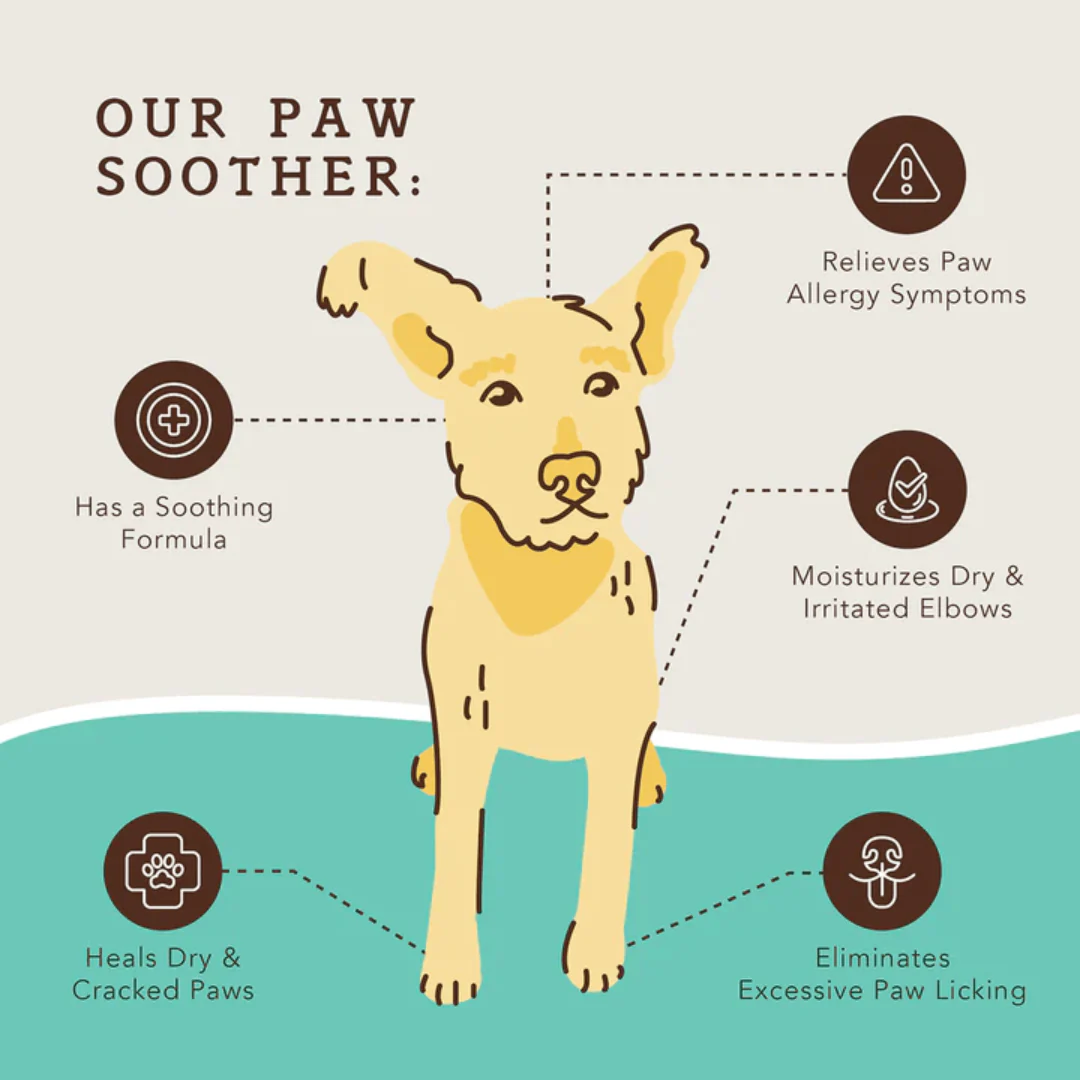 Natural Dog Company Paw Soother - Image 2