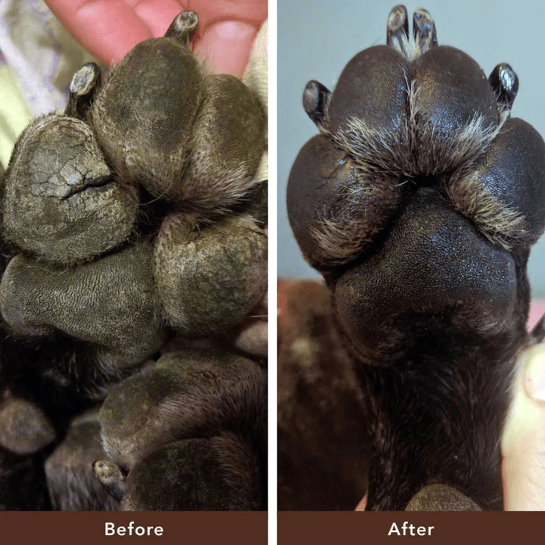 Natural Dog Company Paw Soother - Image 3