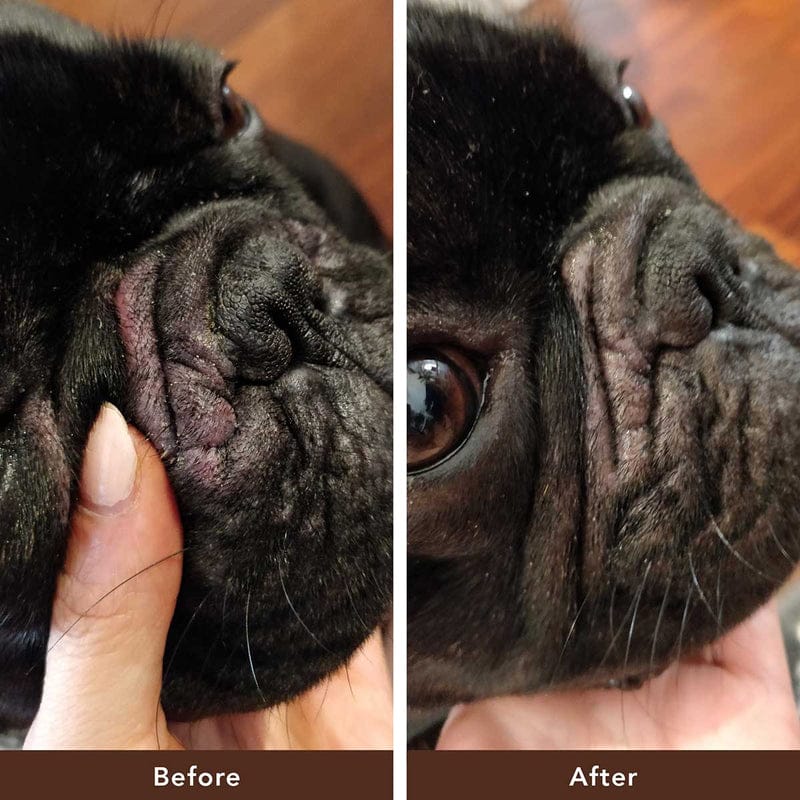 Natural Dog Company Wrinkle Balm - Image 7