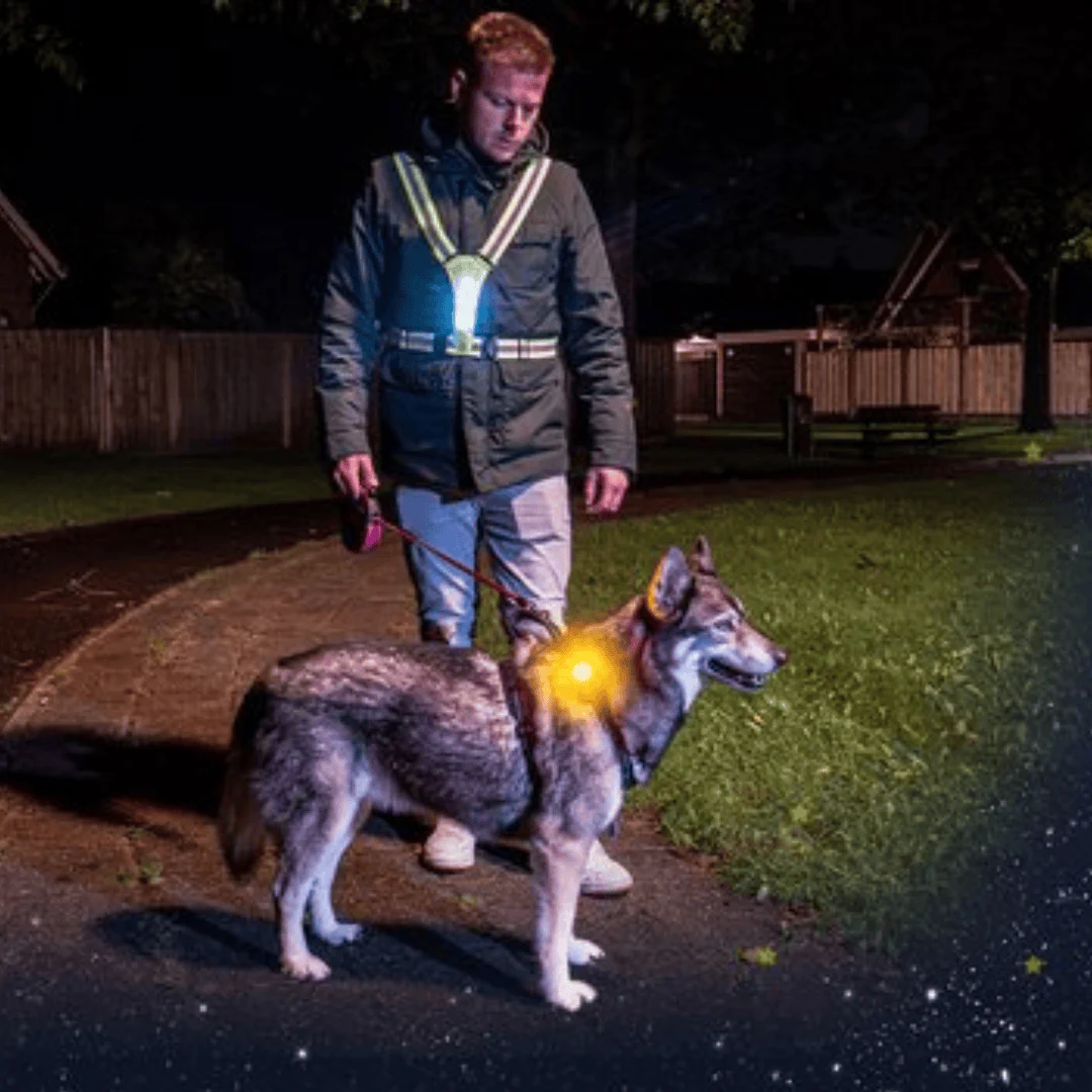 Nightwalk Safety Light - Image 2