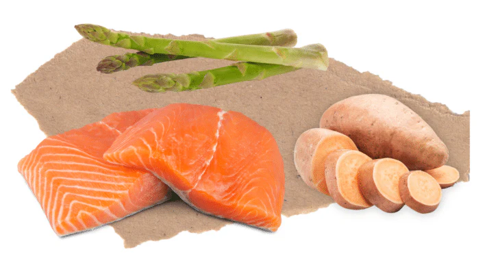 Nourish Rite Grain Free Adult Dog Food - Salmon - Image 3