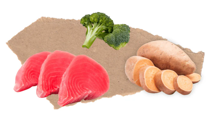 Nourish Rite Grain Free Adult Dog Food - Tuna - Image 3