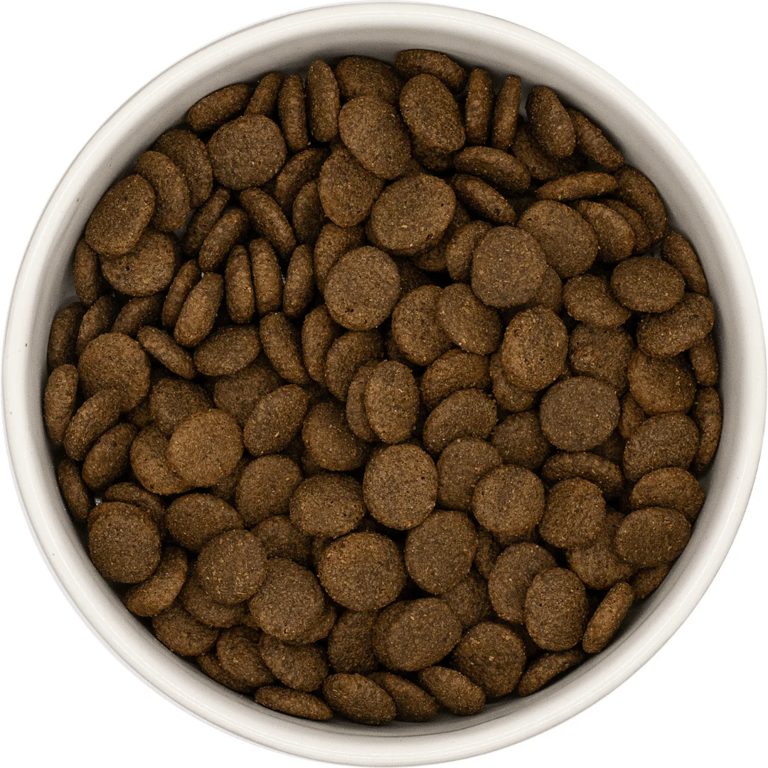 Nourish Rite Grain Free Adult - Turkey - Image 2