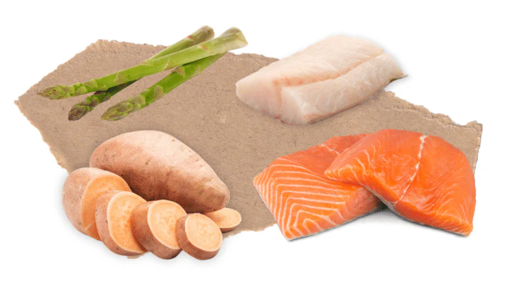 Nourish Rite Grain Free Puppy Food - Salmon - Image 4