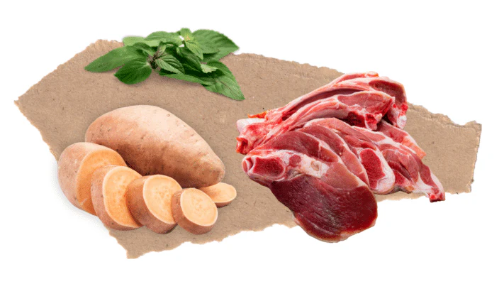 Nourish Rite Grain Free Small Breed Dog Food - Lamb - Image 3