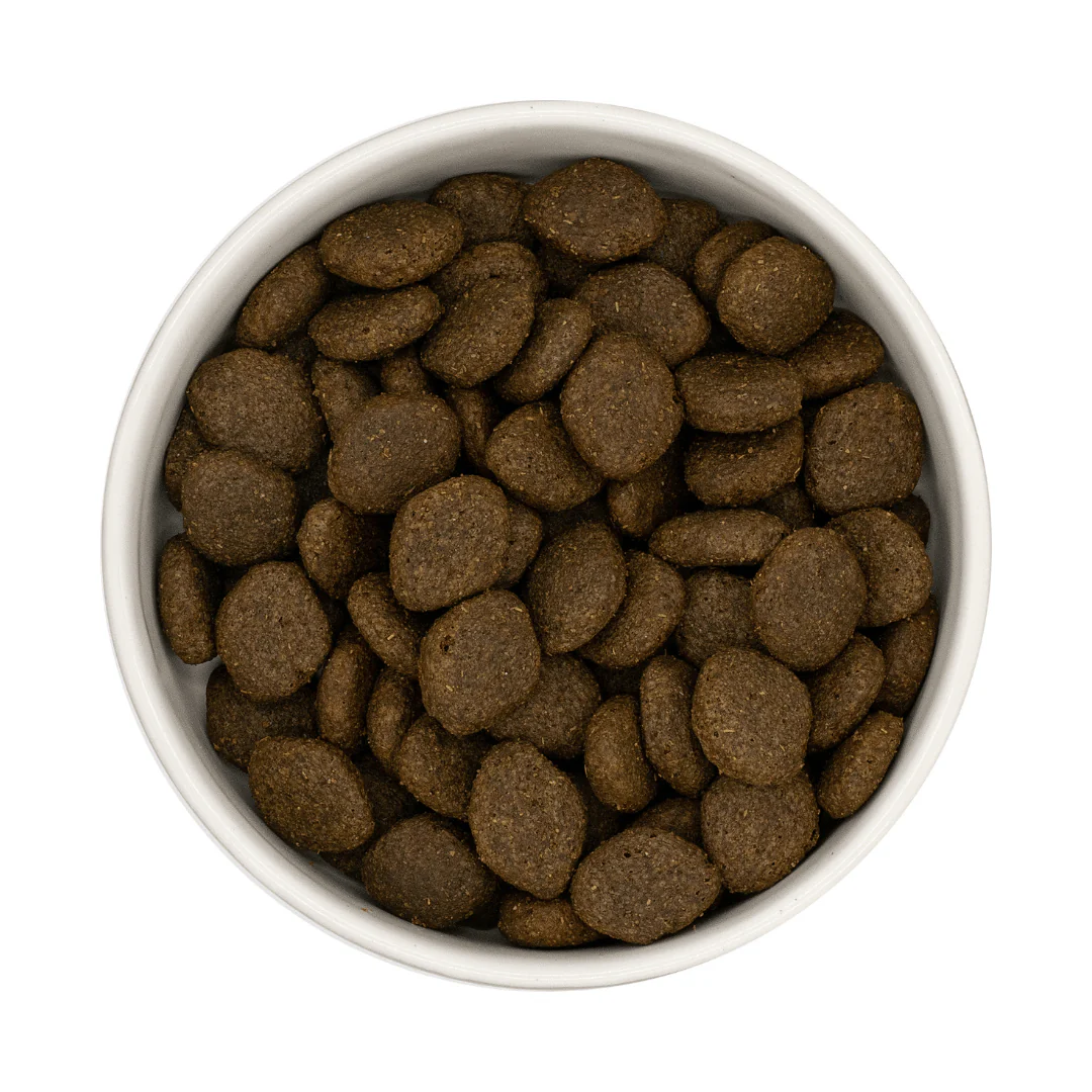 Nourish Rite Premium Adult Salmon and Potato - Image 2