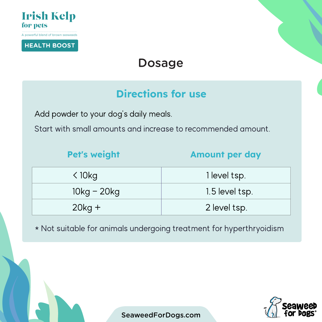 Organic Irish Kelp - Image 5