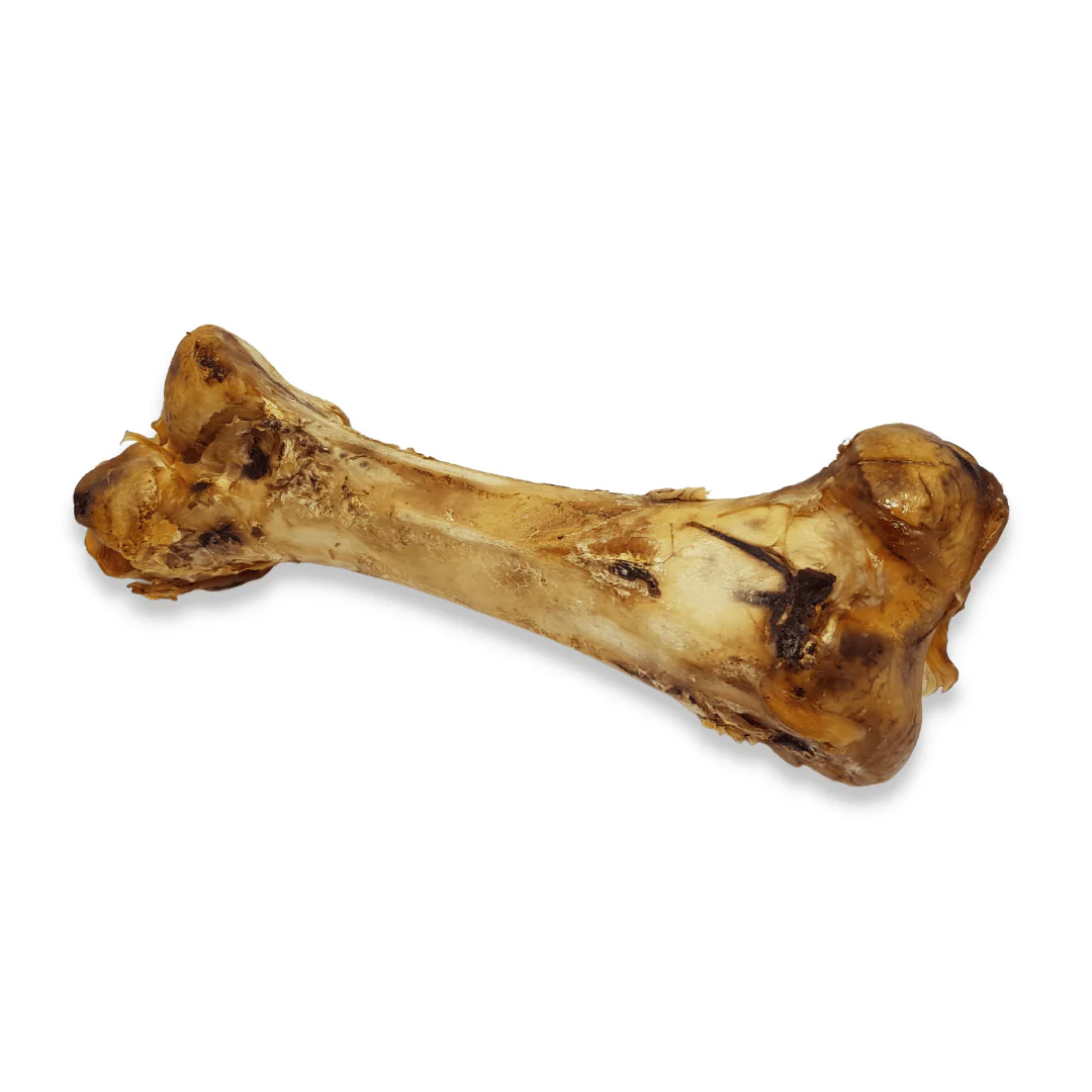 Ostrich Bone - Image 2