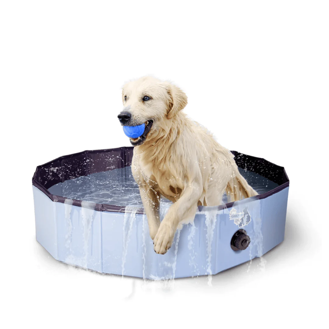 Paddling Pool for Dogs - Image 3