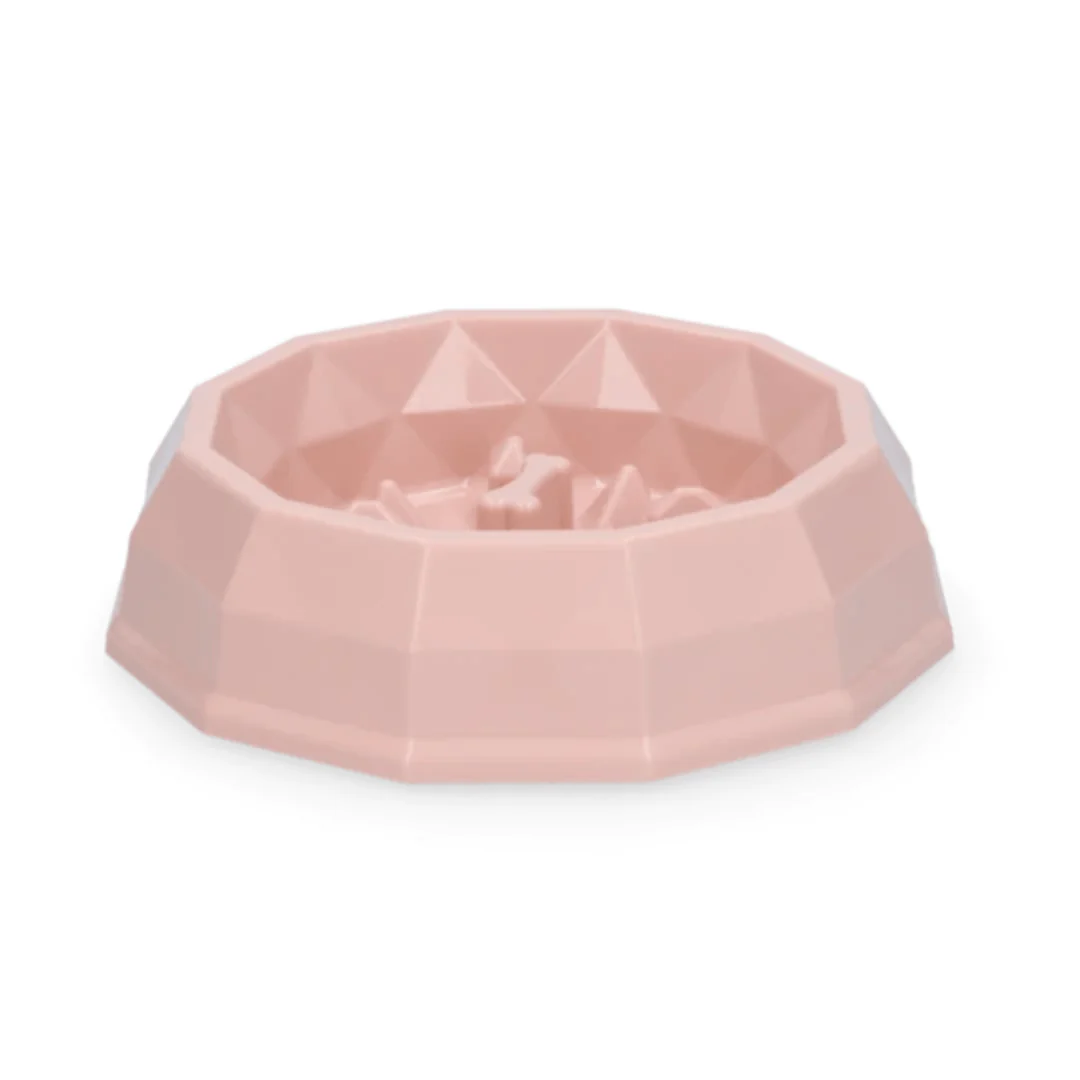 Pawise My Slow Feeding Bowl - Image 3