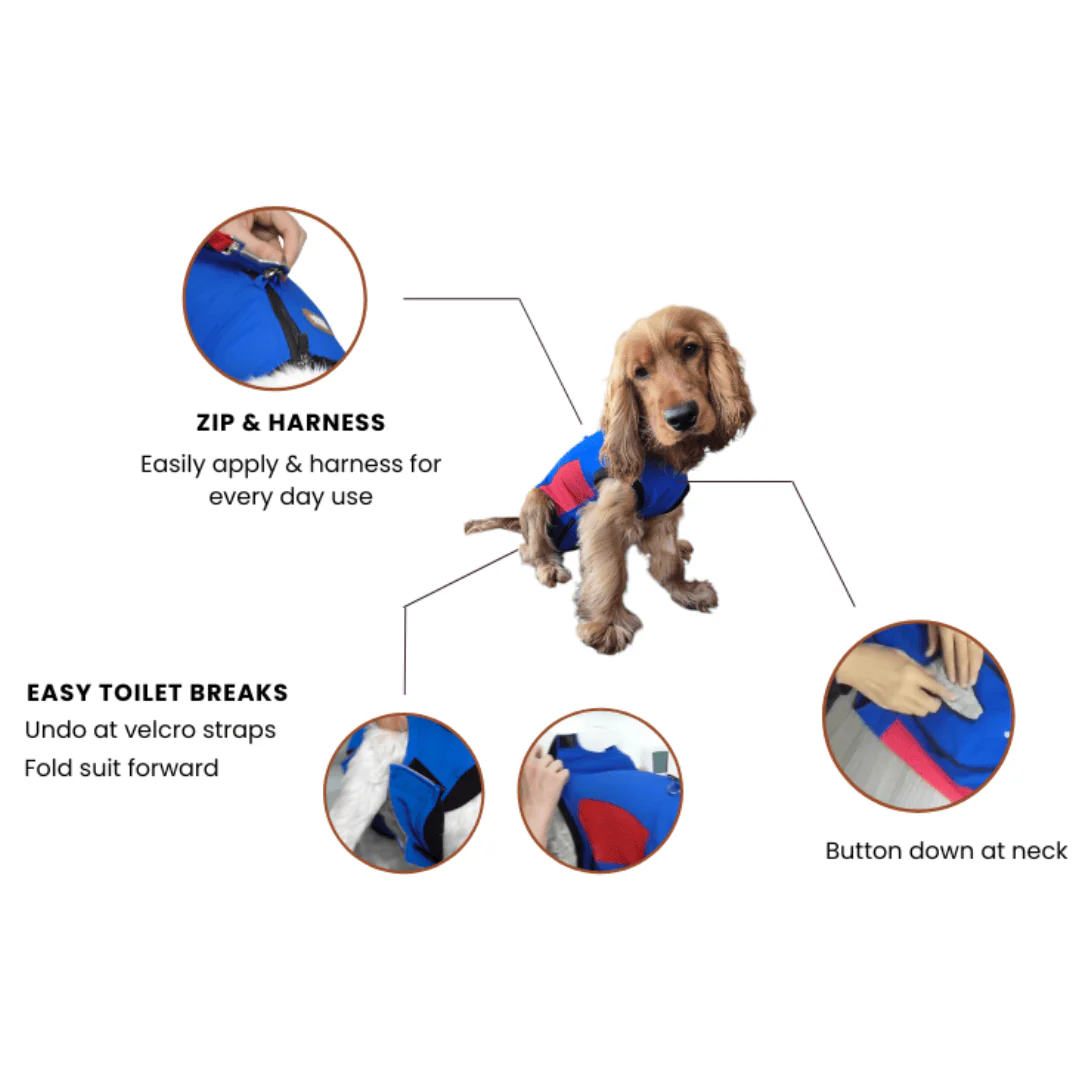 Petsuit Surgishield - Image 4