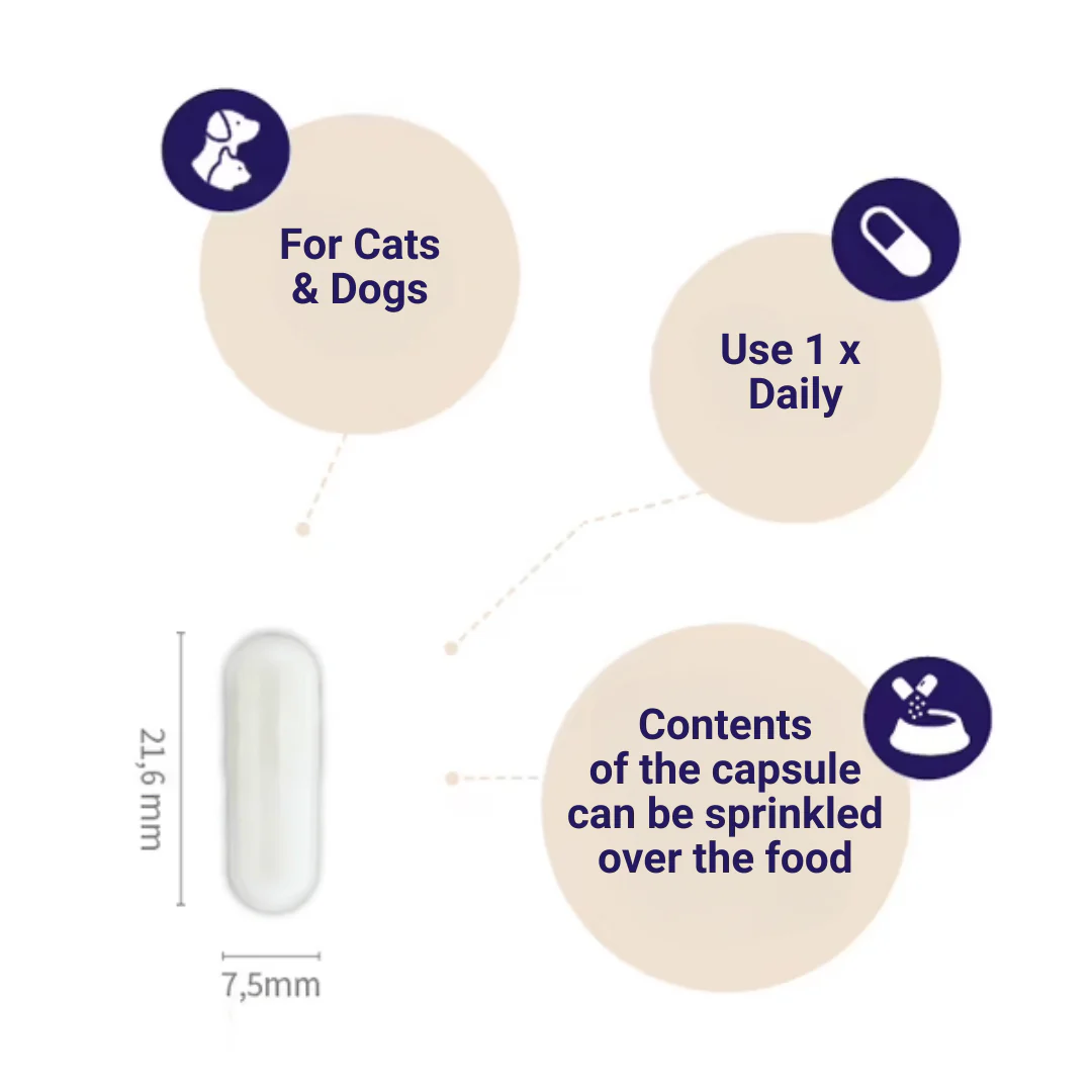 Pharmox Probiotic for Cats and Dogs - Image 3