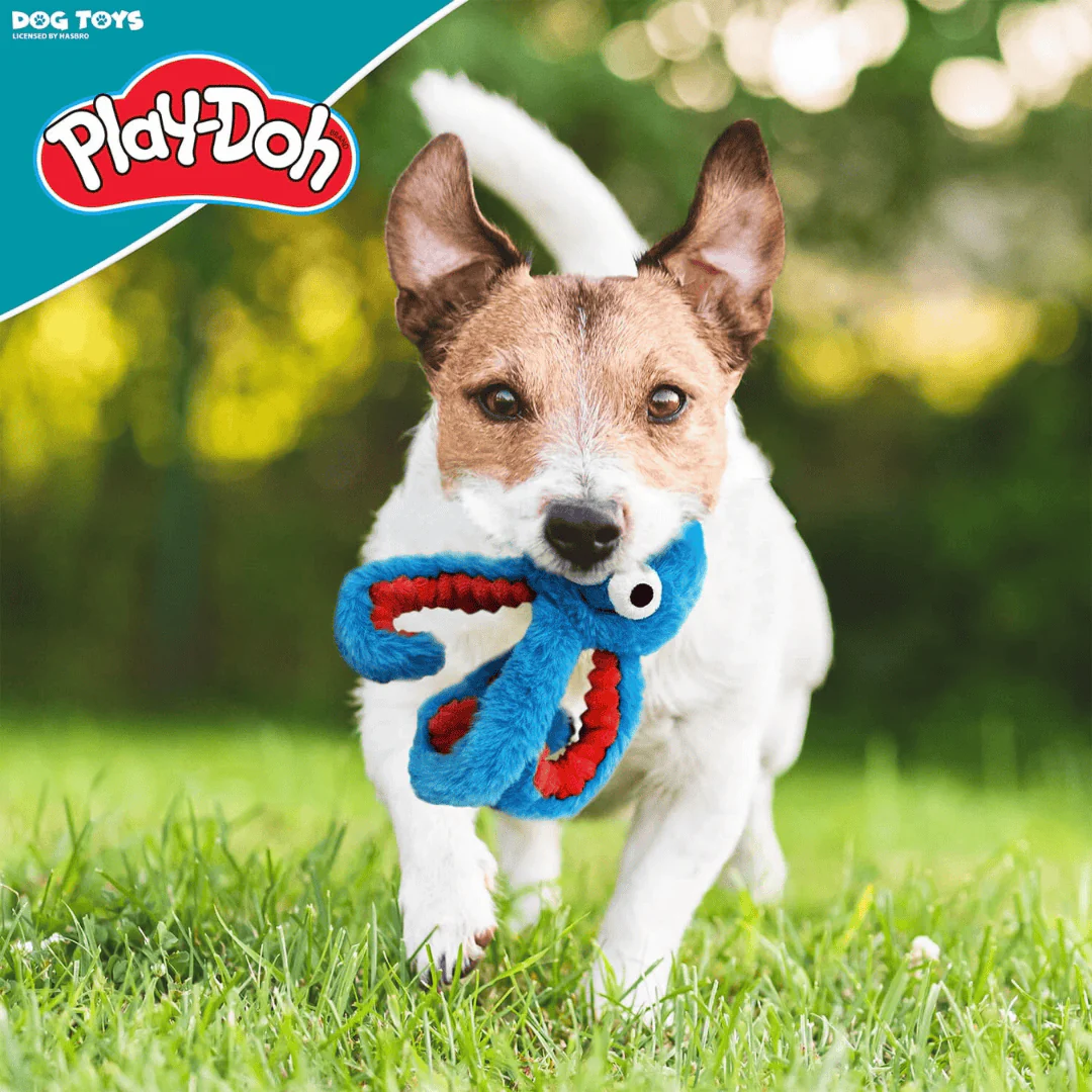 Play-Doh Crinkle Octopus 6.5" Dog Toy - Image 2