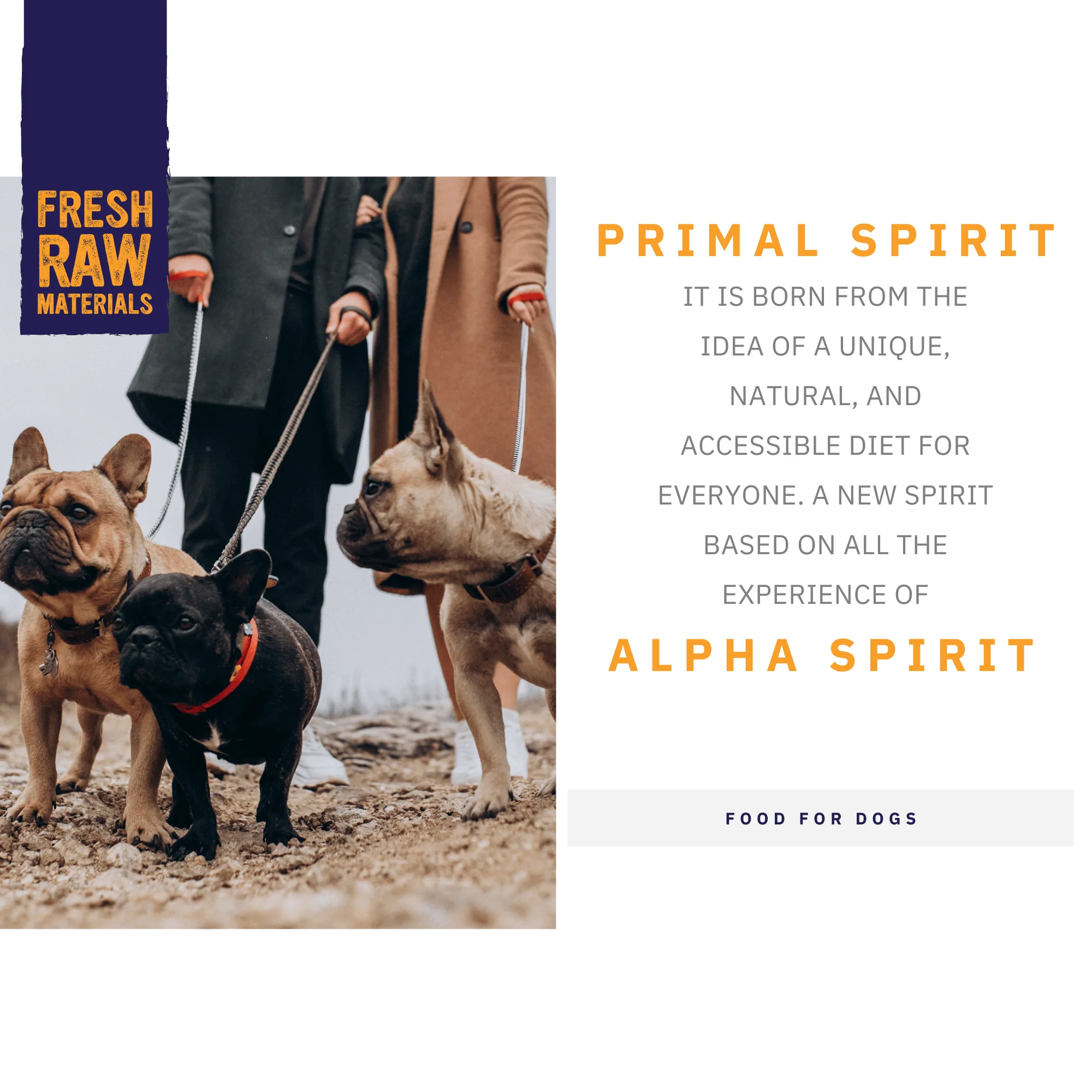 Primal Spirit 70% Wild Waters Dog Food - Image 2