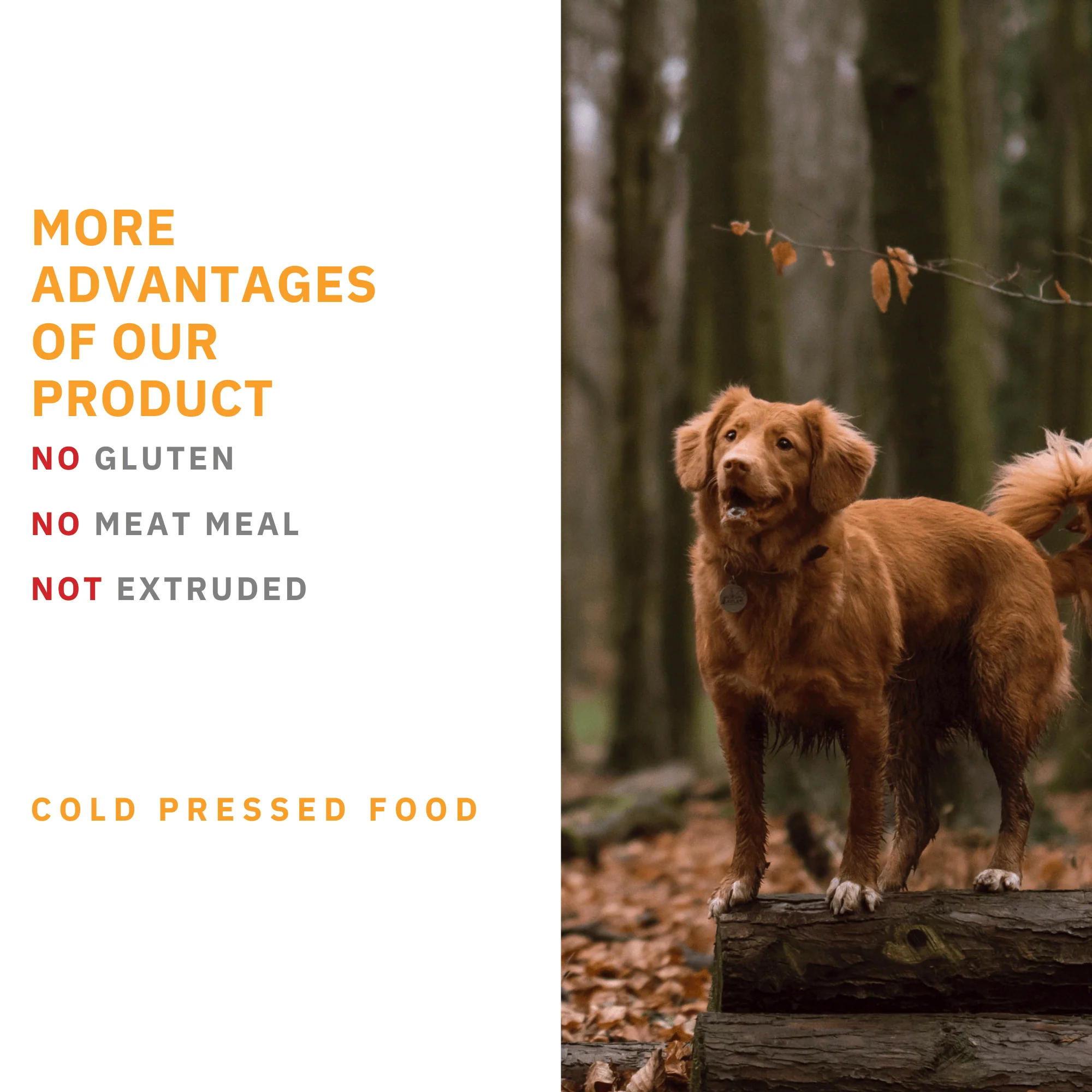 Primal Spirit 70% Wild Waters Dog Food - Image 3