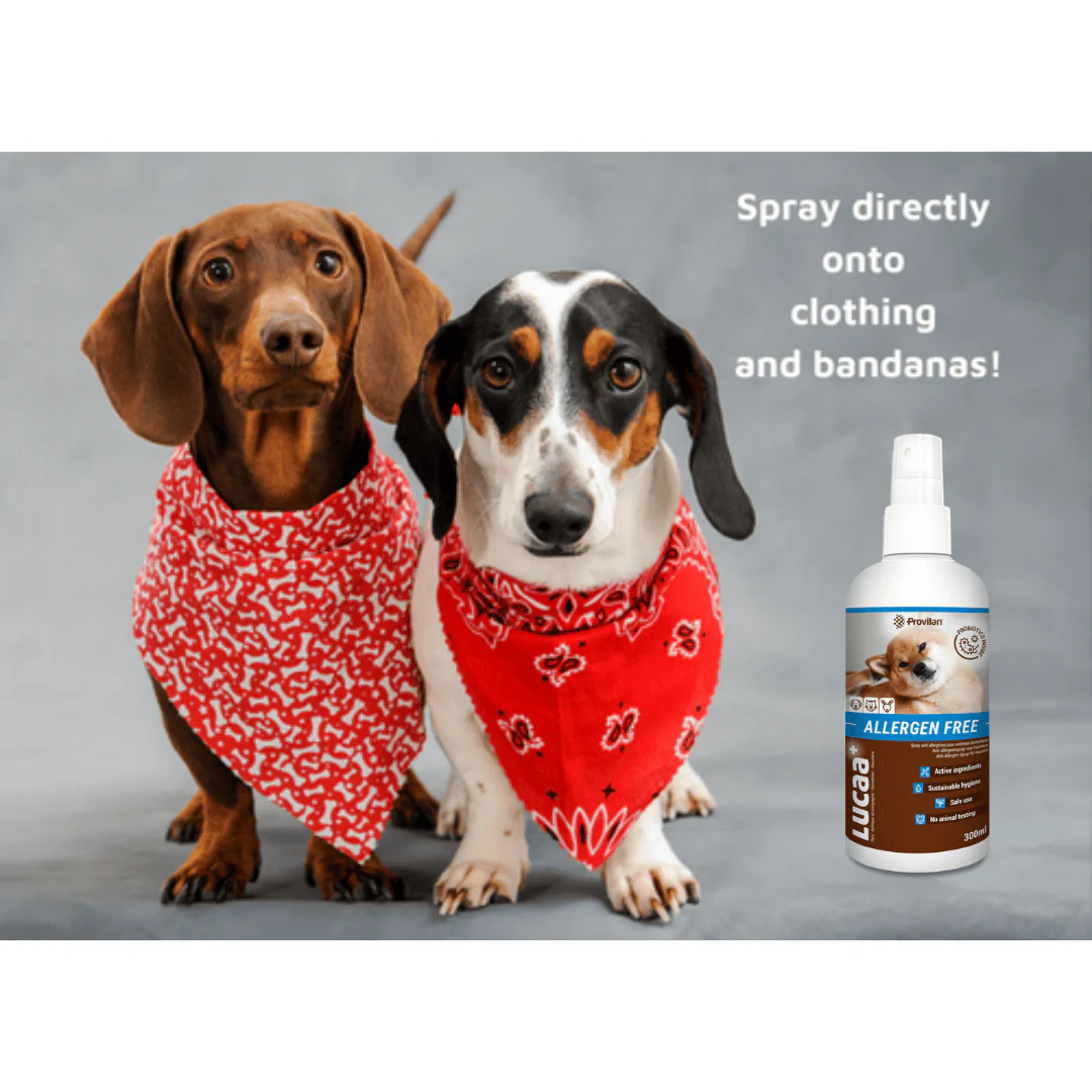 Probiotic Allergen Free Pet Spray | Provilan Lucaa+ - Image 5