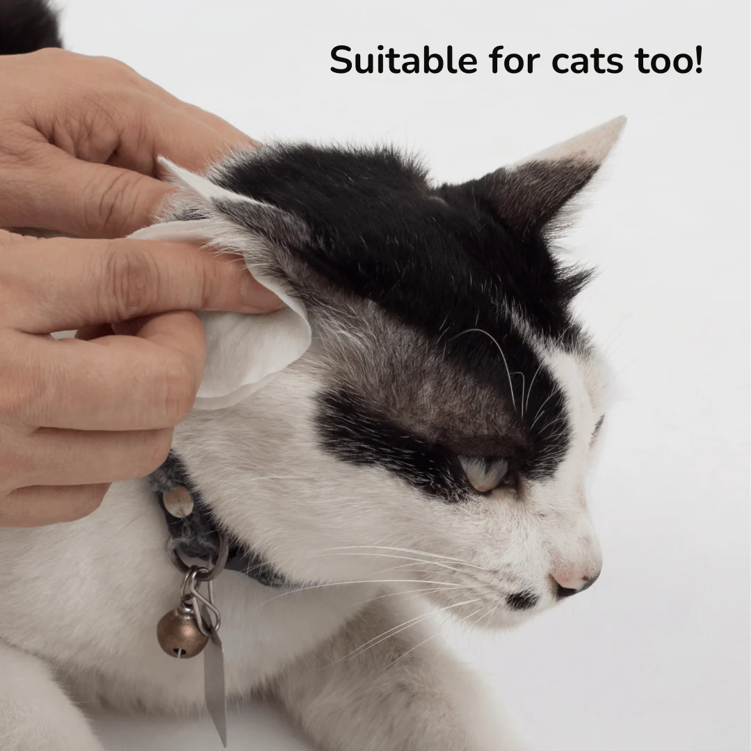 Probiotic Pet Ear Care Spray | Provilan Lucaa+ - Image 3