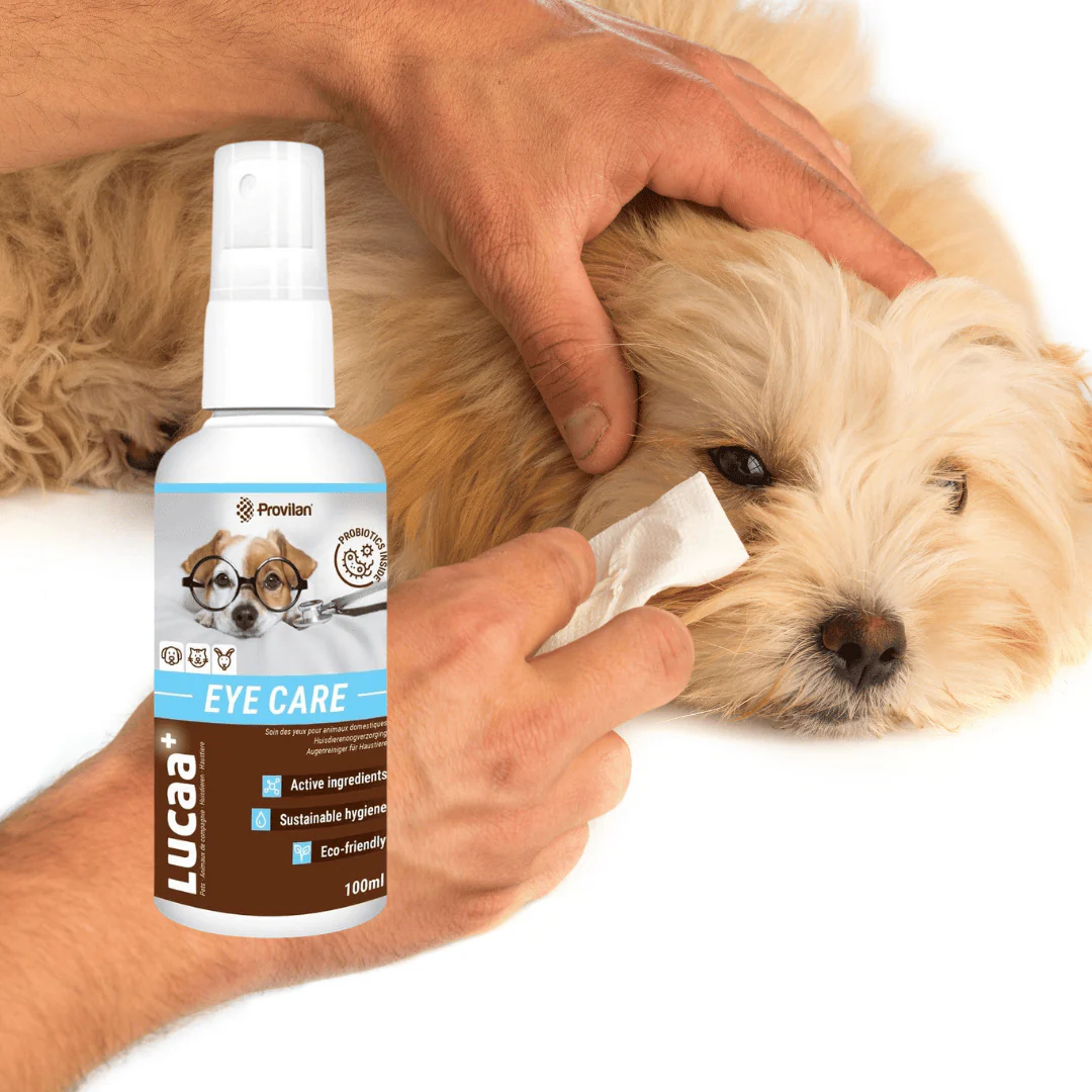Probiotic Pet Eye Care Spray | Provilan Lucaa+ - Image 2