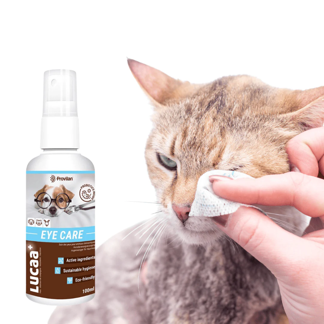 Probiotic Pet Eye Care Spray | Provilan Lucaa+ - Image 3
