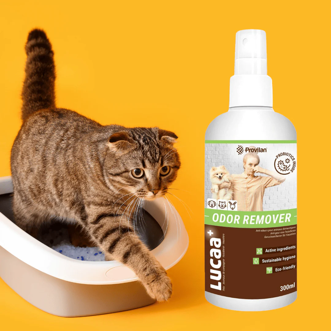 Probiotic Pet Odour Remover Spray | Provilan Lucaa+ - Image 5