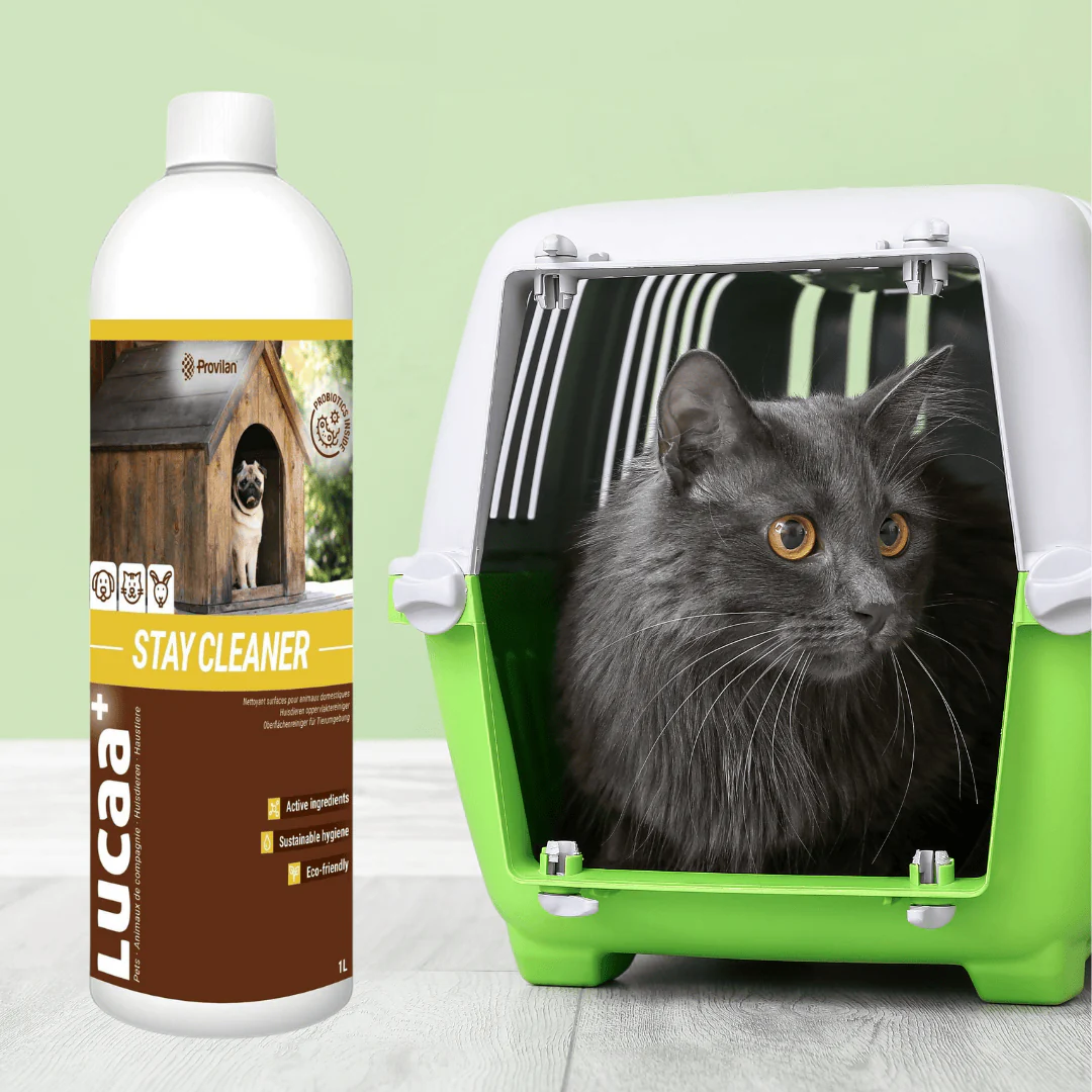 Probiotic Stay Kennel Cleaner (100:1 Concentrate) | Provilan Lucaa+ - Image 3